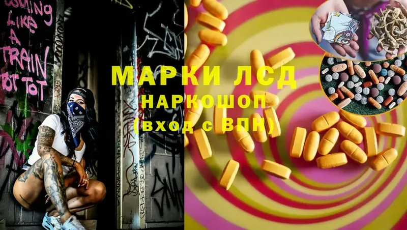 ЛСД экстази ecstasy  Нолинск 